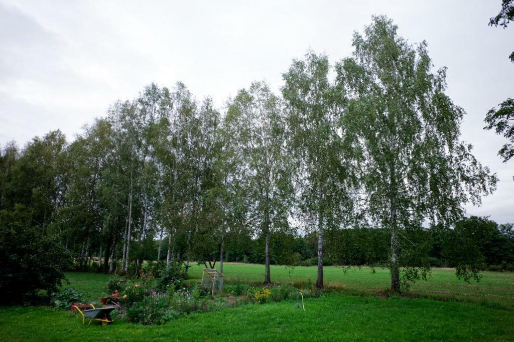 Obere Muehle - Scheunenwohnung Mitten Im Gruenen Baunach Екстериор снимка